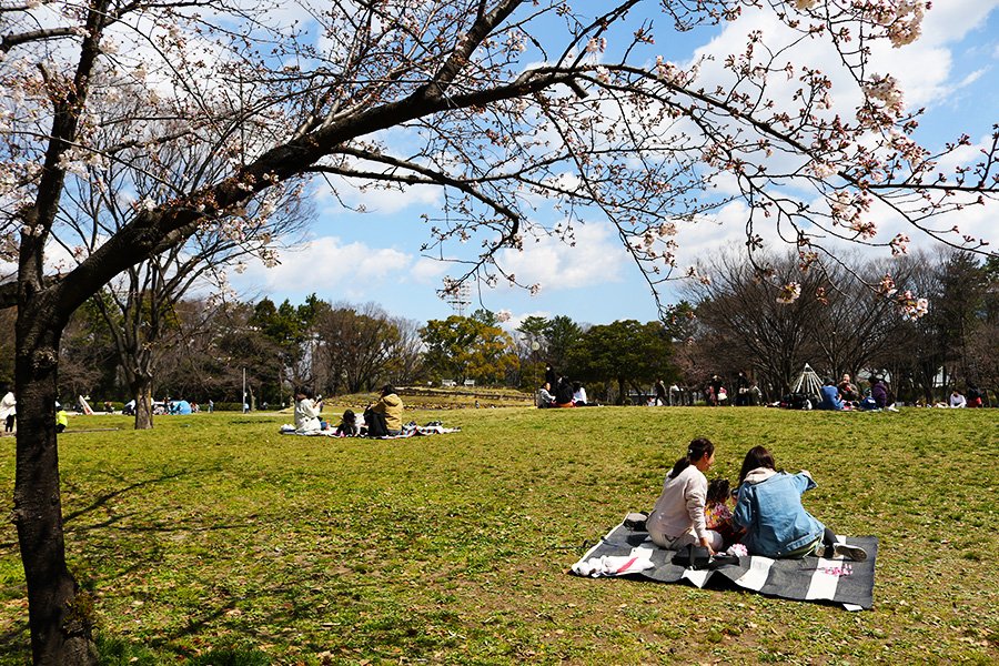 🏞️ 메이조 공원(메이죠 코엔) 이미지 5